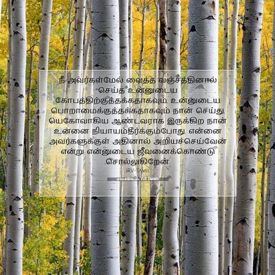 Picture 07 - எசேக்கியேல் 35:11 TAMIRV - நீ அவர்கள்மேல் - Bible Verse Picture