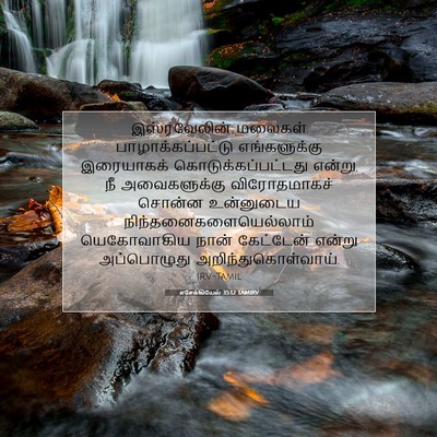 Picture 07 - எசேக்கியேல் 35:12 TAMIRV - இஸ்ரவேலின் மலைகள் - Bible Verse Picture