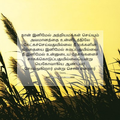 Picture 07 - எசேக்கியேல் 36:15 TAMIRV - நான் இனிமேல் - Bible Verse Picture