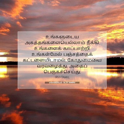 Picture 07 - எசேக்கியேல் 36:29 TAMIRV - உங்களுடைய - Bible Verse Picture