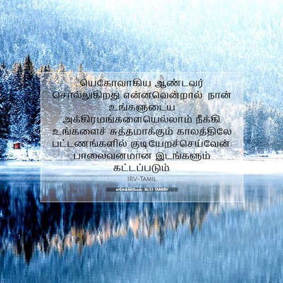 Picture 07 - எசேக்கியேல் 36:33 TAMIRV - யெகோவாகிய ஆண்டவர் - Bible Verse Picture