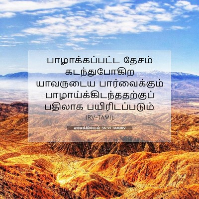 Picture 07 - எசேக்கியேல் 36:34 TAMIRV - பாழாக்கப்பட்ட - Bible Verse Picture