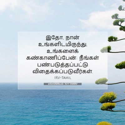 Picture 07 - எசேக்கியேல் 36:9 TAMIRV - இதோ, நான் - Bible Verse Picture