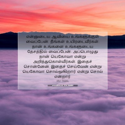 Picture 07 - எசேக்கியேல் 37:14 TAMIRV - என்னுடைய ஆவியை - Bible Verse Picture