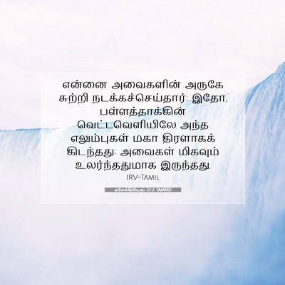 Picture 07 - எசேக்கியேல் 37:2 TAMIRV - என்னை அவைகளின் - Bible Verse Picture