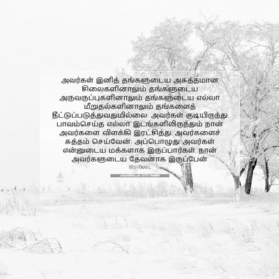 Picture 07 - எசேக்கியேல் 37:23 TAMIRV - அவர்கள் இனித் - Bible Verse Picture