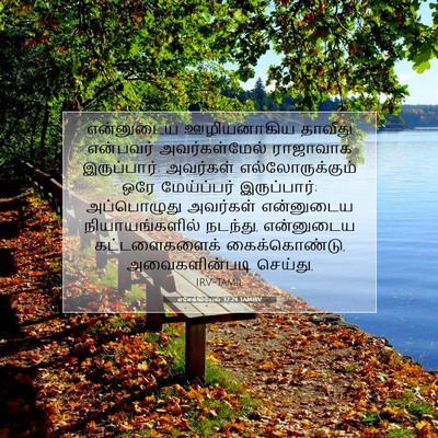 Picture 07 - எசேக்கியேல் 37:24 TAMIRV - என்னுடைய - Bible Verse Picture
