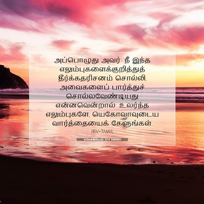 Picture 07 - எசேக்கியேல் 37:4 TAMIRV - அப்பொழுது அவர்: நீ - Bible Verse Picture