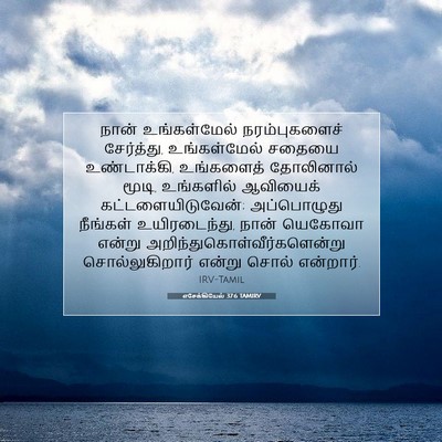 Picture 07 - எசேக்கியேல் 37:6 TAMIRV - நான் உங்கள்மேல் - Bible Verse Picture