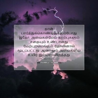 Picture 07 - எசேக்கியேல் 37:8 TAMIRV - நான் - Bible Verse Picture