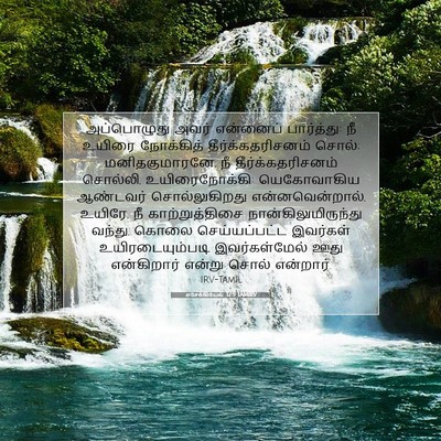 Picture 07 - எசேக்கியேல் 37:9 TAMIRV - அப்பொழுது அவர் - Bible Verse Picture