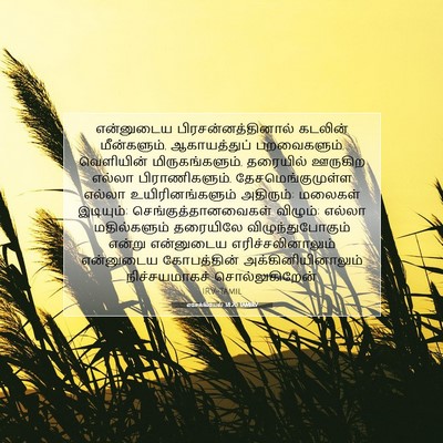 Picture 07 - எசேக்கியேல் 38:20 TAMIRV - என்னுடைய - Bible Verse Picture