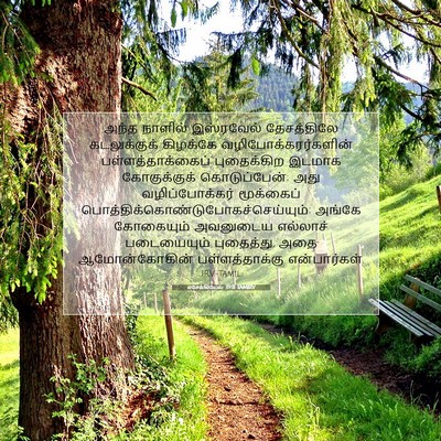 Picture 07 - எசேக்கியேல் 39:11 TAMIRV - அந்த நாளில் - Bible Verse Picture