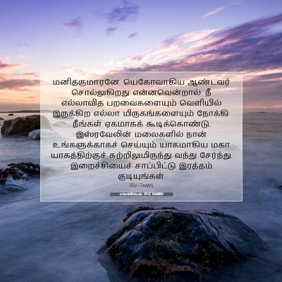 Picture 07 - எசேக்கியேல் 39:17 TAMIRV - மனிதகுமாரனே, - Bible Verse Picture