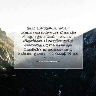 Picture 07 - எசேக்கியேல் 39:4 TAMIRV - நீயும் உன்னுடைய - Bible Verse Picture