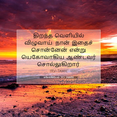 Picture 07 - எசேக்கியேல் 39:5 TAMIRV - திறந்த வெளியில் - Bible Verse Picture