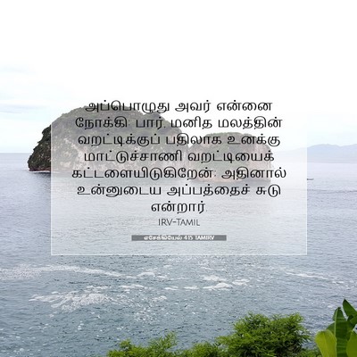 Picture 07 - எசேக்கியேல் 4:15 TAMIRV - அப்பொழுது அவர் - Bible Verse Picture