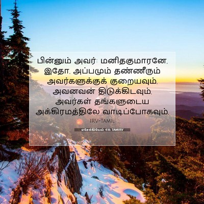Picture 07 - எசேக்கியேல் 4:16 TAMIRV - பின்னும் அவர்: - Bible Verse Picture
