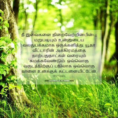 Picture 07 - எசேக்கியேல் 4:6 TAMIRV - நீ இவைகளை - Bible Verse Picture
