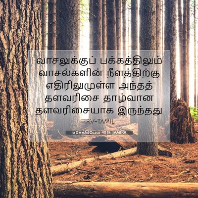 Picture 07 - எசேக்கியேல் 40:18 TAMIRV - வாசலுக்குப் - Bible Verse Picture