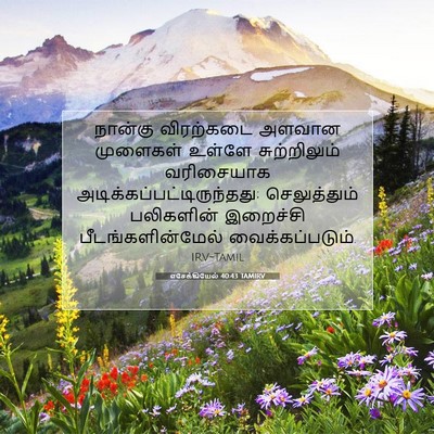 Picture 07 - எசேக்கியேல் 40:43 TAMIRV - நான்கு விரற்கடை - Bible Verse Picture