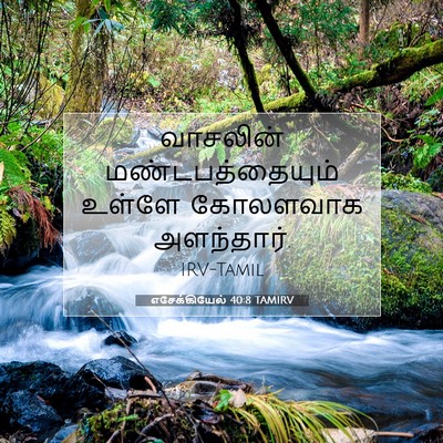Picture 07 - எசேக்கியேல் 40:8 TAMIRV - வாசலின் - Bible Verse Picture