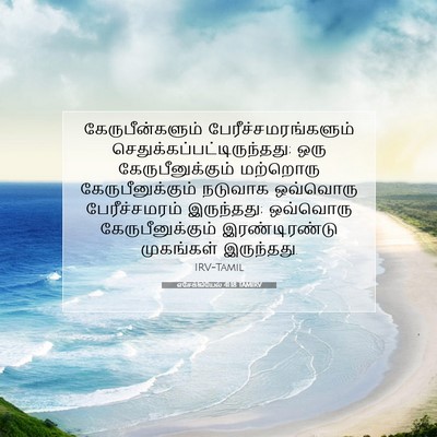 Picture 07 - எசேக்கியேல் 41:18 TAMIRV - கேருபீன்களும் - Bible Verse Picture