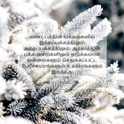 Picture 07 - எசேக்கியேல் 41:26 TAMIRV - மண்டபத்தின் - Bible Verse Picture