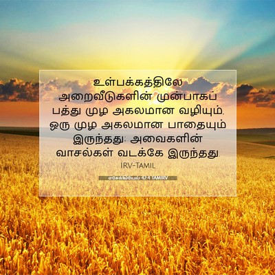 Picture 07 - எசேக்கியேல் 42:4 TAMIRV - உள்பக்கத்திலே - Bible Verse Picture
