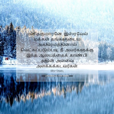 Picture 07 - எசேக்கியேல் 43:10 TAMIRV - மனிதகுமாரனே, - Bible Verse Picture