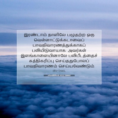 Picture 07 - எசேக்கியேல் 43:22 TAMIRV - இரண்டாம் நாளிலே - Bible Verse Picture