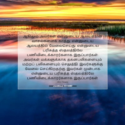 Picture 07 - எசேக்கியேல் 44:11 TAMIRV - ஆகிலும் அவர்கள் - Bible Verse Picture