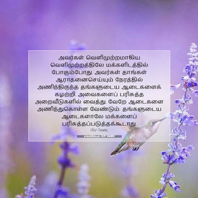 Picture 07 - எசேக்கியேல் 44:19 TAMIRV - அவர்கள் - Bible Verse Picture