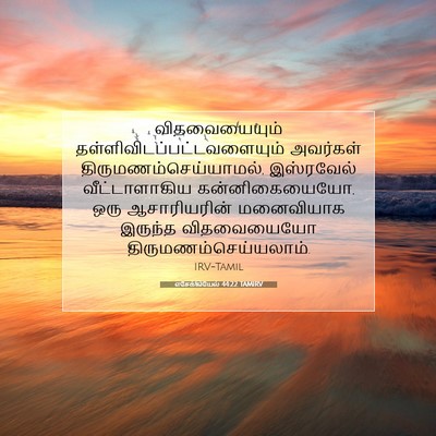 Picture 07 - எசேக்கியேல் 44:22 TAMIRV - விதவையையும் - Bible Verse Picture