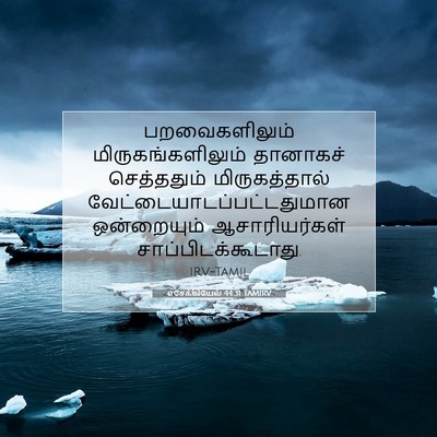 Picture 07 - எசேக்கியேல் 44:31 TAMIRV - பறவைகளிலும் - Bible Verse Picture