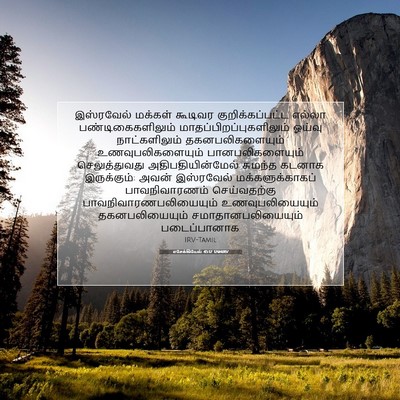 Picture 07 - எசேக்கியேல் 45:17 TAMIRV - இஸ்ரவேல் மக்கள் - Bible Verse Picture