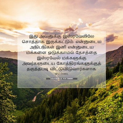 Picture 07 - எசேக்கியேல் 45:8 TAMIRV - இது அவனுக்கு - Bible Verse Picture