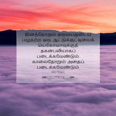Picture 07 - எசேக்கியேல் 46:13 TAMIRV - தினந்தோறும் - Bible Verse Picture