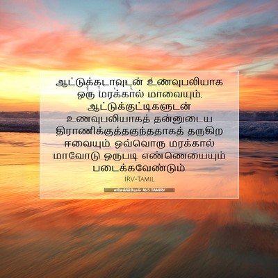 Picture 07 - எசேக்கியேல் 46:5 TAMIRV - ஆட்டுக்கடாவுடன் - Bible Verse Picture