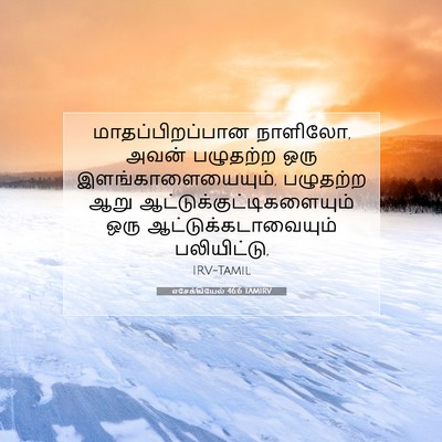 Picture 07 - எசேக்கியேல் 46:6 TAMIRV - மாதப்பிறப்பான - Bible Verse Picture