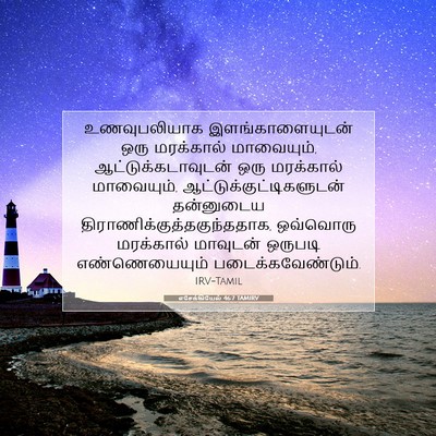 Picture 07 - எசேக்கியேல் 46:7 TAMIRV - உணவுபலியாக - Bible Verse Picture