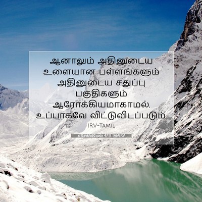 Picture 07 - எசேக்கியேல் 47:11 TAMIRV - ஆனாலும் அதினுடைய - Bible Verse Picture