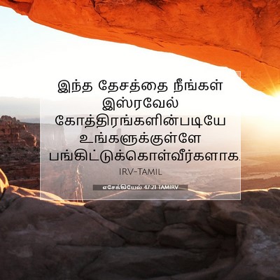 Picture 07 - எசேக்கியேல் 47:21 TAMIRV - இந்த தேசத்தை - Bible Verse Picture