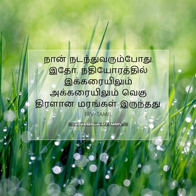 Picture 07 - எசேக்கியேல் 47:7 TAMIRV - நான் - Bible Verse Picture
