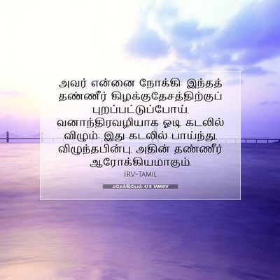 Picture 07 - எசேக்கியேல் 47:8 TAMIRV - அவர் என்னை நோக்கி: - Bible Verse Picture