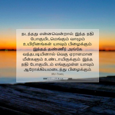 Picture 07 - எசேக்கியேல் 47:9 TAMIRV - நடந்தது - Bible Verse Picture