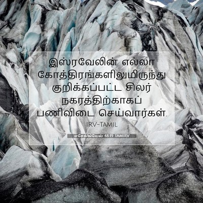 Picture 07 - எசேக்கியேல் 48:19 TAMIRV - இஸ்ரவேலின் எல்லா - Bible Verse Picture