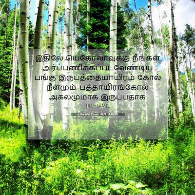 Picture 07 - எசேக்கியேல் 48:9 TAMIRV - இதிலே - Bible Verse Picture