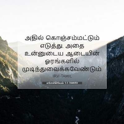 Picture 07 - எசேக்கியேல் 5:3 TAMIRV - அதில் - Bible Verse Picture