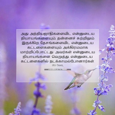 Picture 07 - எசேக்கியேல் 5:6 TAMIRV - அது - Bible Verse Picture